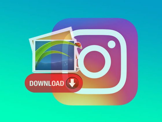 Cara Menyimpan Video dari Instagram ke Galeri Tanpa Aplikasi